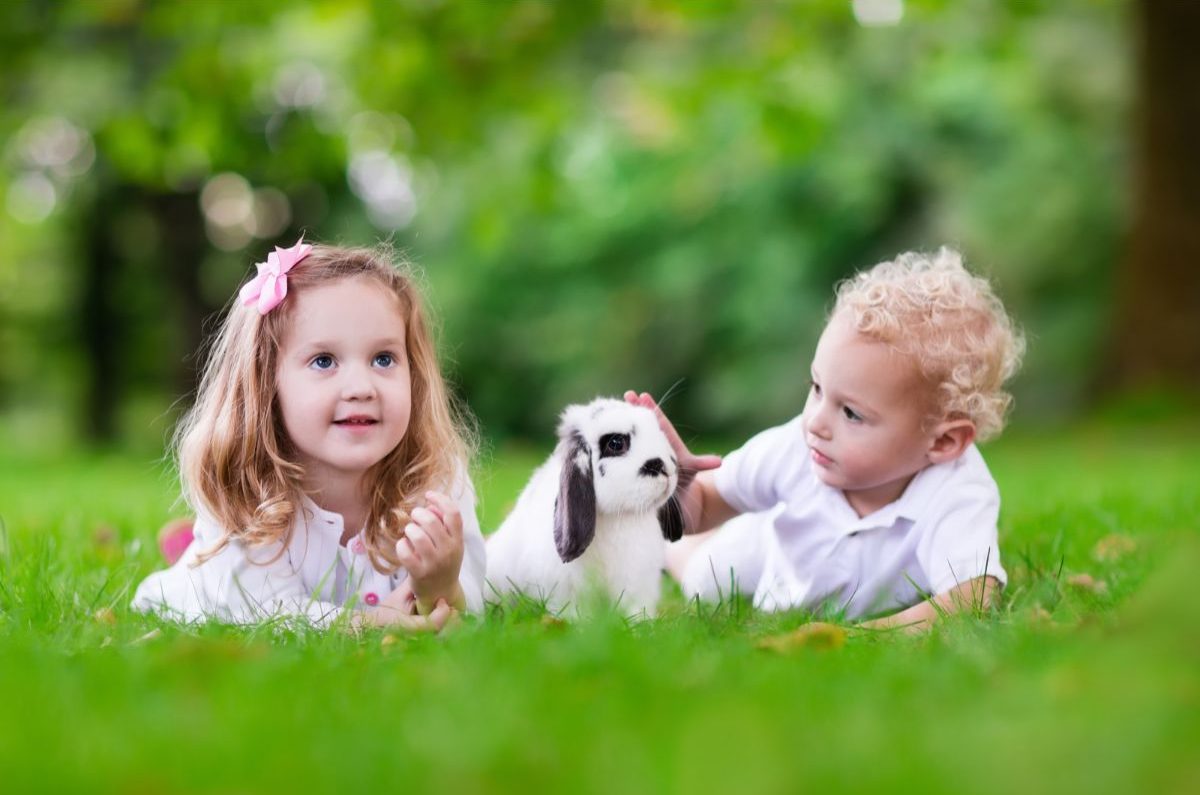 Are Rabbits Good Pets For Kids? – Pros And Cons